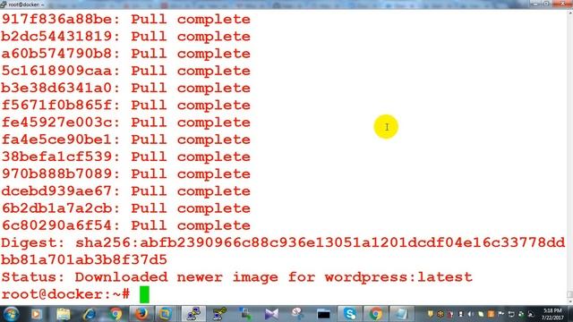 docker network смотреть онлайн