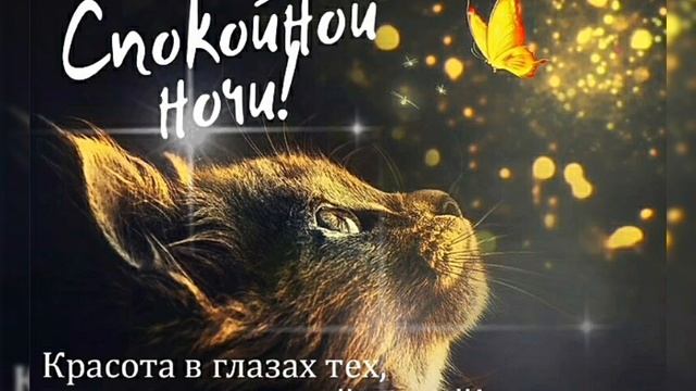 Title.Спокойной ночи и приятных снов. смотреть онлайн