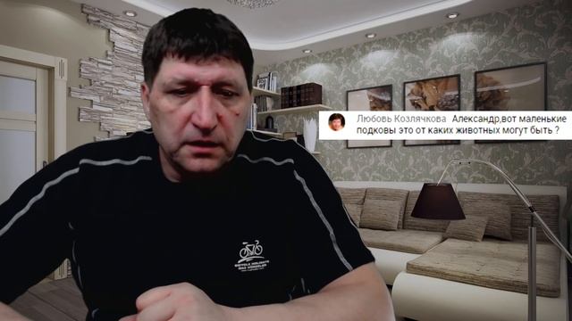 Редкие находки, как продать, ответы на вопросы подписчиков смотреть онлайн