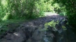 Покатушки на Шевроле-Ниве с новой грязевой резиной «Форвард Сафари 540» 235/75/15.
