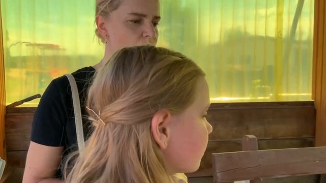 Мне подарили лошадь ???