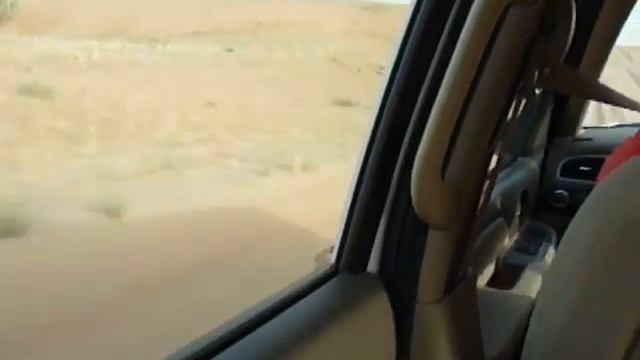 Dune diner desert sunset safari смотреть онлайн