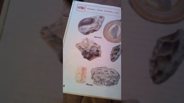 Знакомемся с камнеми пемза,песчаник,каменная соль смотреть онлайн