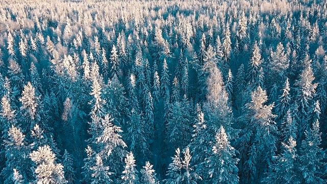 @kkinchevzona - Белый шум зимы