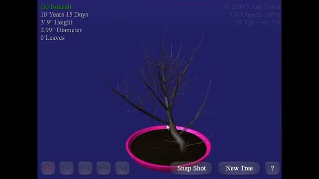 Строим бансай! (Go bonsai) смотреть онлайн