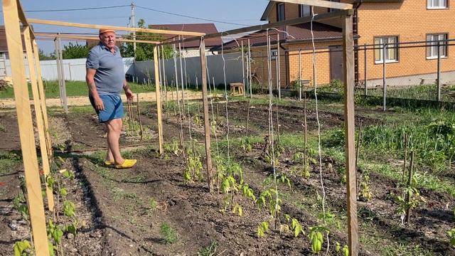 Земляные работы подходят к завершению. Серия № 380. смотреть онлайн