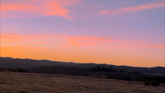 Laurel Canyon (Official Visualizer)