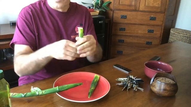 Pacaya Guatemalan Delicacy from Chamaedorea plumosa смотреть онлайн