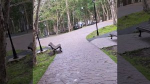 25.07.24 В Петропавловске-Камчатском дожди:(((