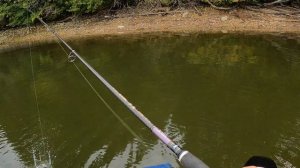 Обзор спиннингового удилища Ares Evox 803M