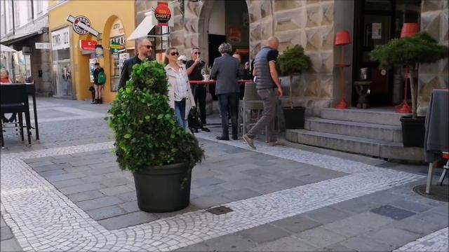 Bushman Prank - Wels Austria Tour Vol. 2