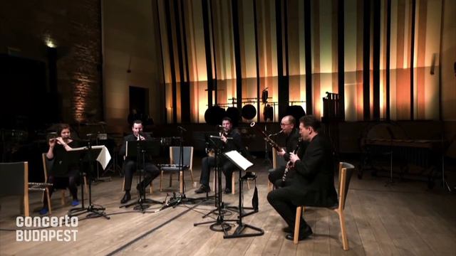 György Ligeti: 10 pieces for wind quintet - No. 10 Presto bizzarro e rubato (bassoon solo) смотреть онлайн