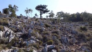 Chorvatsko Orebič - dovolená 2022