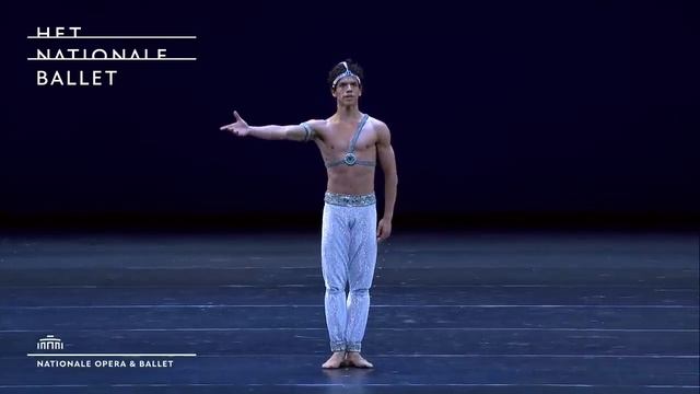 Corsaire PDD Gala 2014 Isaac Hernandez Jurgita Dronina