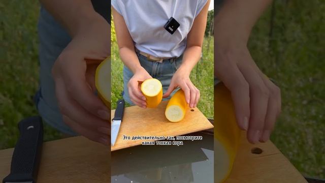 Сибирский супер урожайный?кабачок Желтоплодный | обзор Усадьба-Семена #дача #огород #сад #семена смотреть онлайн