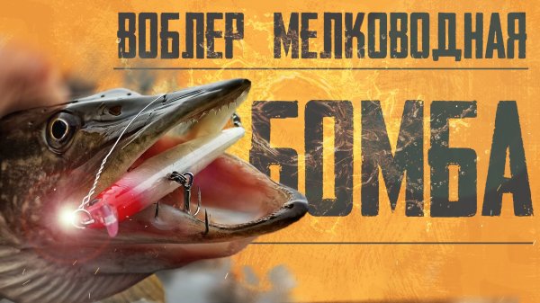 ВОБЛЕР который УДИВИЛ!!! Но который не стоит ПОКУПАТЬ!!! Raiden Twitch Minnow