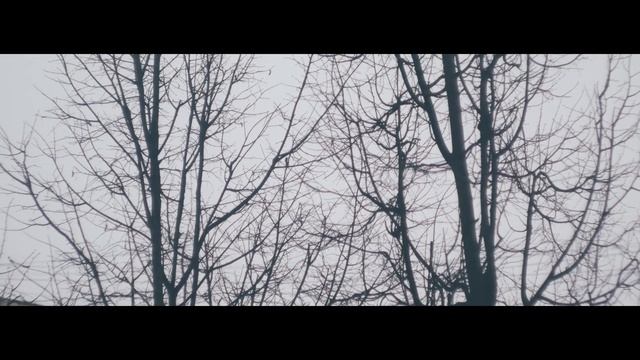 Test Helios 44m-4 + panasonic g80 (Гелиос 44м-4) смотреть онлайн