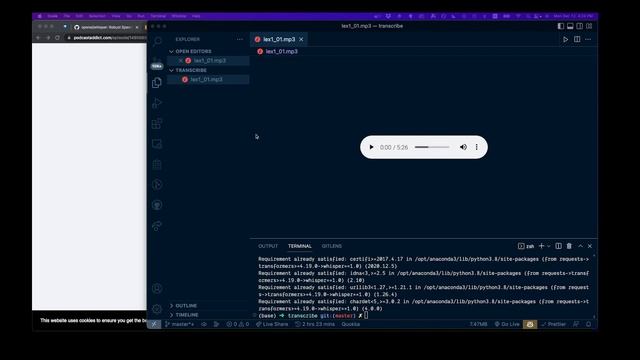 Easily Transcribe Audio with Whisper AI and Python смотреть онлайн