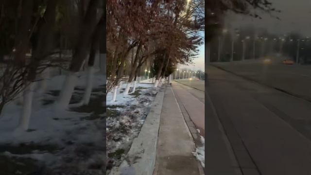 Парк им. Мирзо Улугбека,бывший «Тельмана».Ташкент. смотреть онлайн