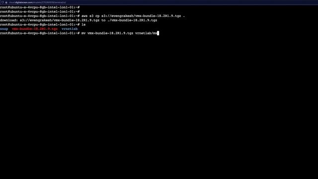 2. Creating vMX Docker Image and Running it. смотреть онлайн