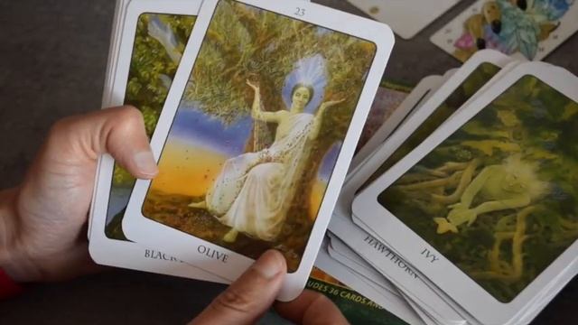 The Tree Angel Oracle Deck : discover a deck in 10 min смотреть онлайн