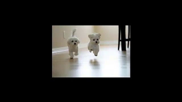 Песенка друзей смотреть онлайн