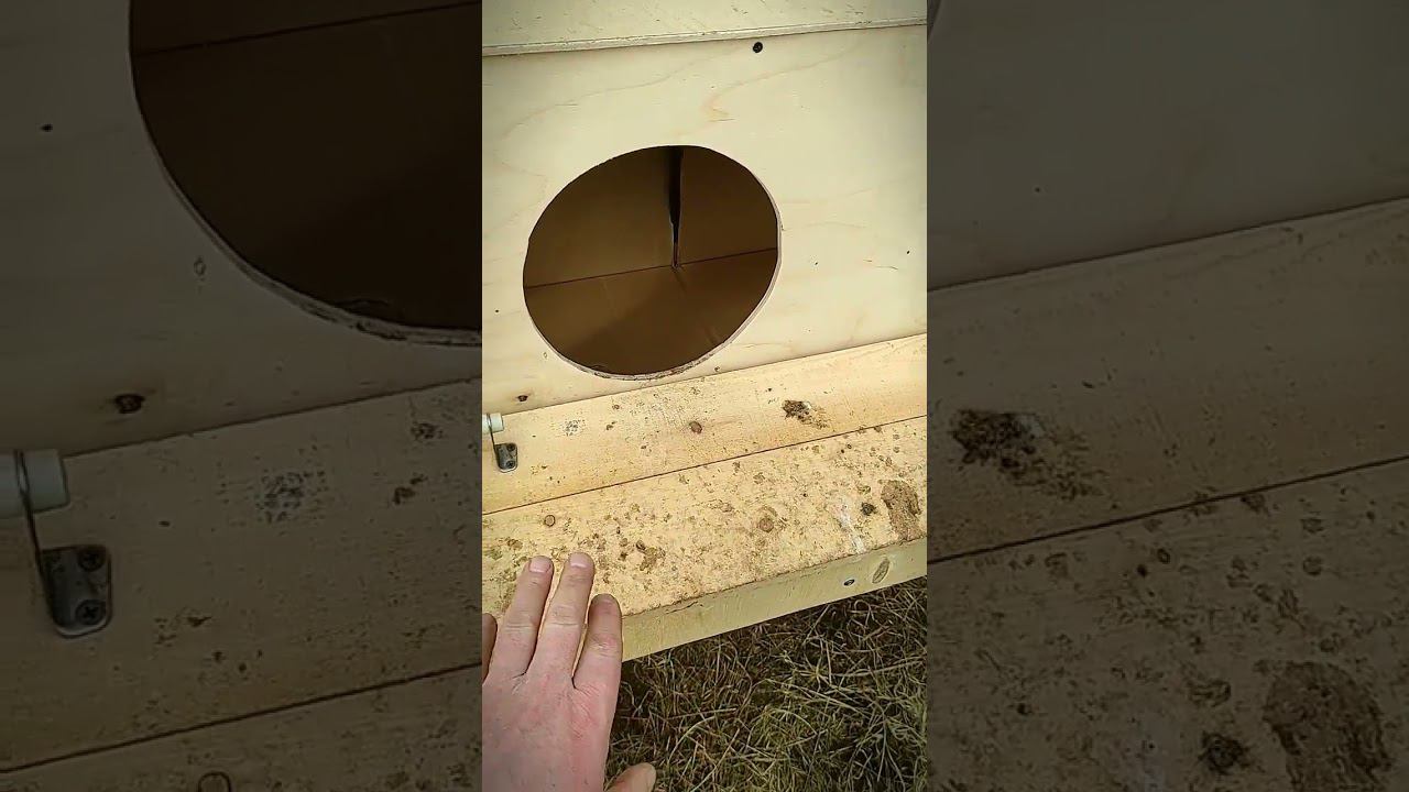 Самоделка для кур #лайхаки смотреть онлайн