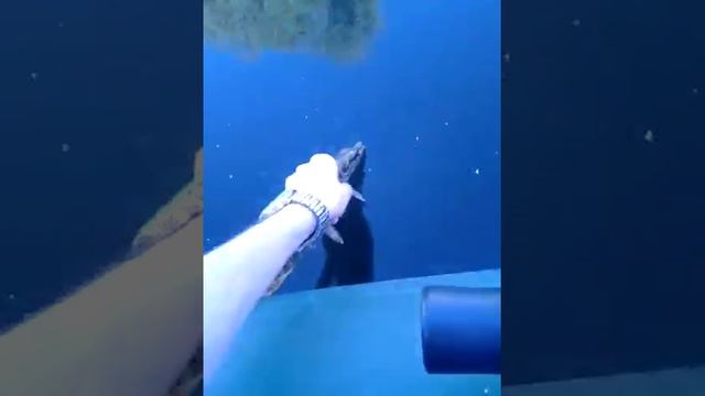 Первый осенний щуренок смотреть онлайн