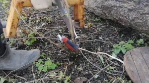 Удаление вишнёвой поросли. Удачное приспособление.