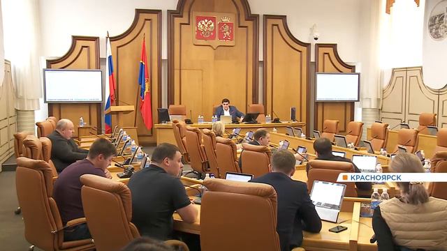 Рассказываем, как в Красноярске собираются решать проблему бродячих собак