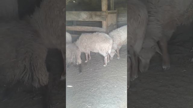 Заболевание смотреть онлайн