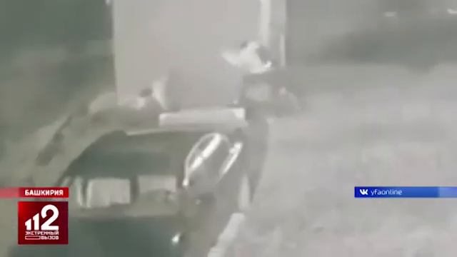 Швырял камни и бил палкой: живодер ослепил собаку в Уфе (18+) смотреть онлайн