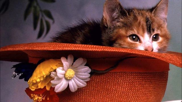 Memory смотреть онлайн