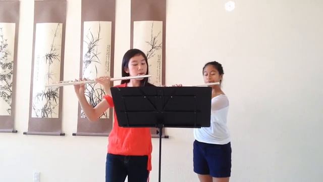 Princess Mononoke Medley - Flute Duet