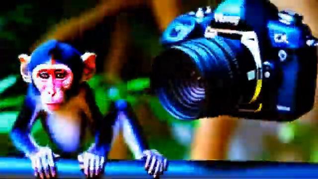 Evolution 3 (Stable Diffusion Video) смотреть онлайн