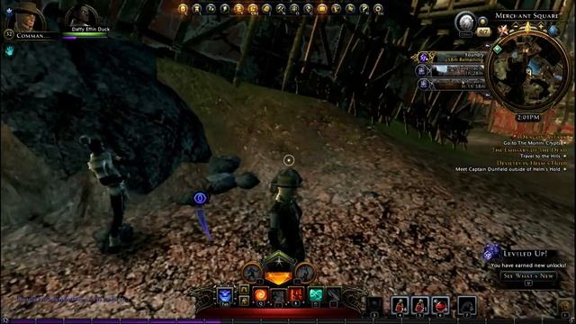 Neverwinter Companion Guide #4 Wayward Wizard смотреть онлайн