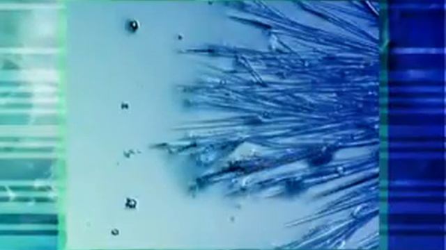 Экопродукция смотреть онлайн