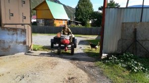 Мотоблок 15 л.с. с гружёным авто-прицепом в маленькую горку.