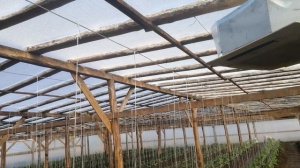 Конструкцыя деревянной теплицы