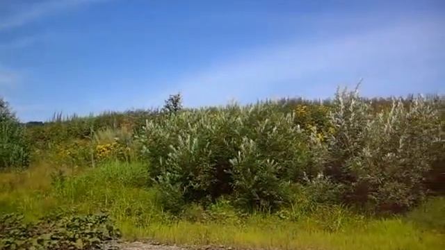 ТУТУЯЗ часть 2. смотреть онлайн