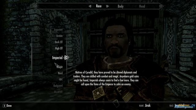 The Best Magic Race for Skyrim смотреть онлайн