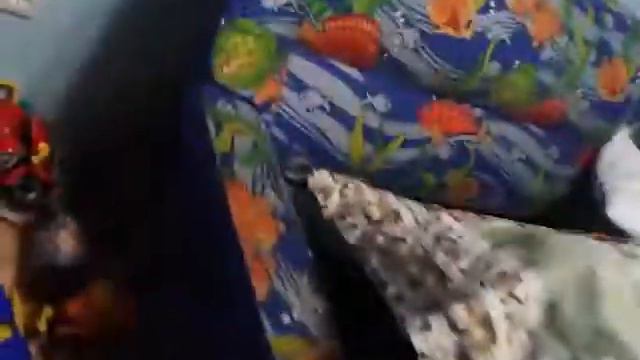 Дом поистории детства Льва Толстога (по рассказу из учебника по чтению 3 класс)!! смотреть онлайн