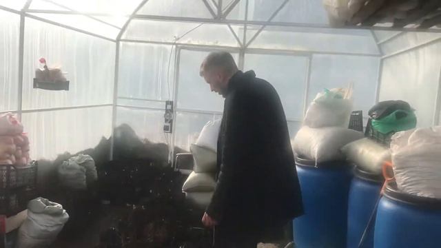 Чекалкин орех СПб Питер Санкт-Петербург смотреть онлайн