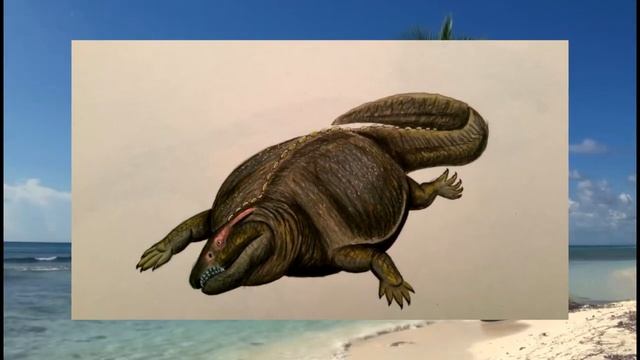 Эволюция Черепах. Как они приобрели панцирь и другое. смотреть онлайн