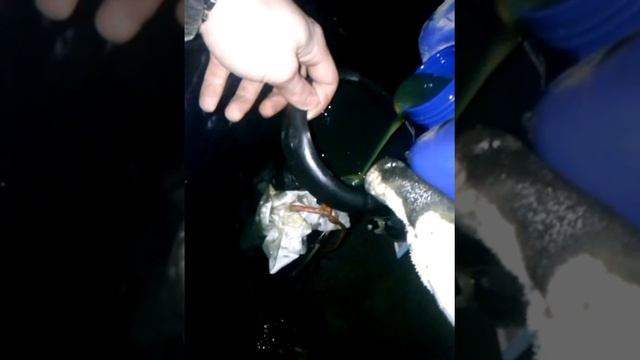 Залил 20 литров гидравлического масла в бак смотреть онлайн