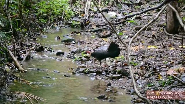 Хаджалмахи