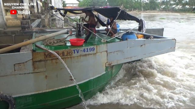 Sà lan vượt cống nổi sợ gặp rau lục bình dày đặc смотреть онлайн