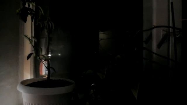 Я тебя не забуду смотреть онлайн