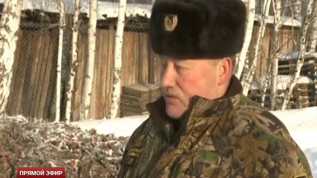 Богдановичский заказник перешел на зимнюю диету смотреть онлайн