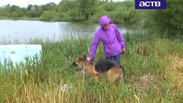 Ищем новую семью для Багиры. 17.07.2015